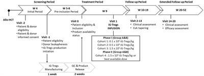 Study protocol: Phase I/II trial of induced HLA-G+ regulatory T cells in patients undergoing allogeneic hematopoietic cell transplantation from an HLA-matched sibling donor